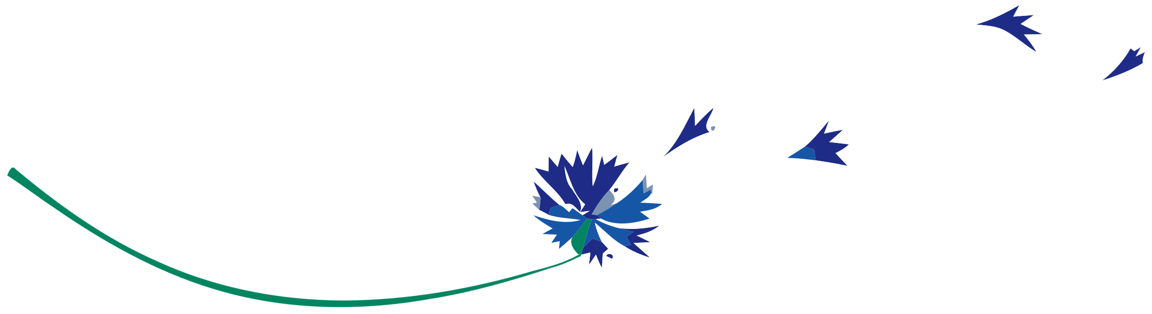 Home page